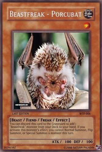 WTF-006Beastfreak-Porcubat.jpg