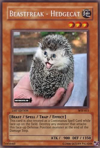 WTF-013Beastfreak-Hedgecat.jpg