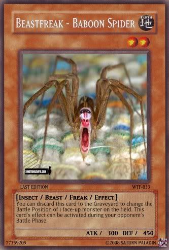 WTF-033Beastfreak-BaboonSpider.jpg