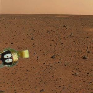 MartianPicture.jpg