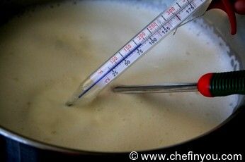 Step by Step pictorial for Ricotta Cheese from scratch | Fresh Cheese Recipe
