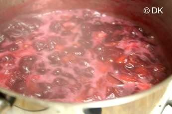 Plum Jam with pectin and Canning 101