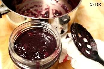 Plum Jam with pectin and Canning 101