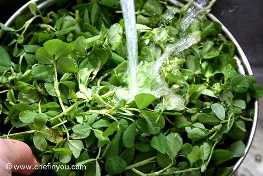 What is Fenugreek (Hindi:Methi)