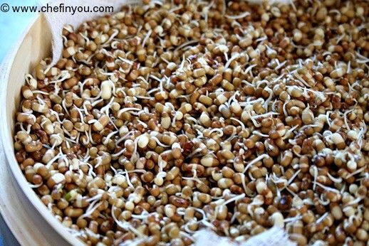 How to Sprout Moth Beans (Matki Sprouts) Recipe
