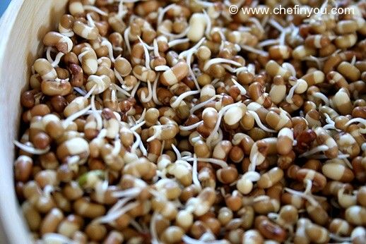 How to Sprout Moth Beans (Matki Sprouts) Recipe