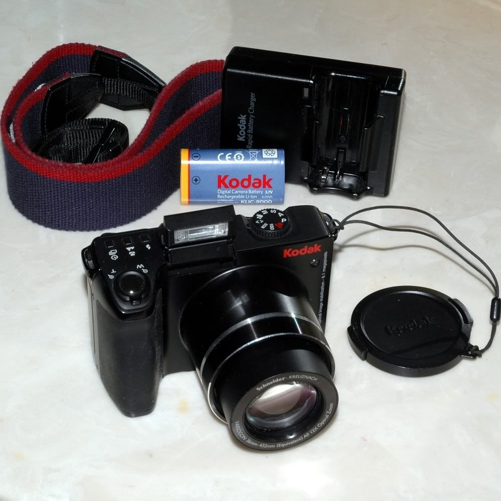 You will bid on this camera