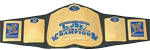 WWE Tag Team Champion WWE Tag Team Champion