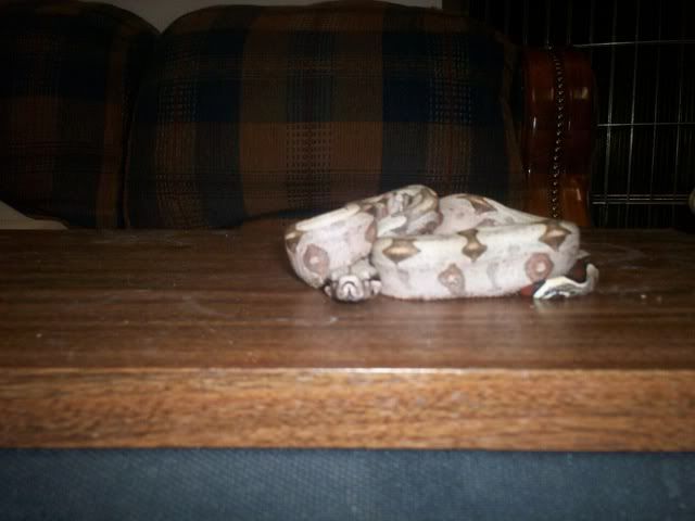 000_0606.jpg