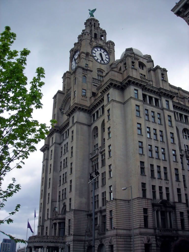 liver building Pictures, Images and Photos