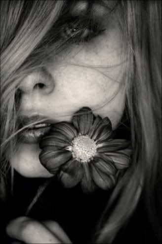 sultry - black white flower Pictures, Images and Photos