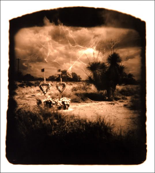 Wayne Martin Belger's .