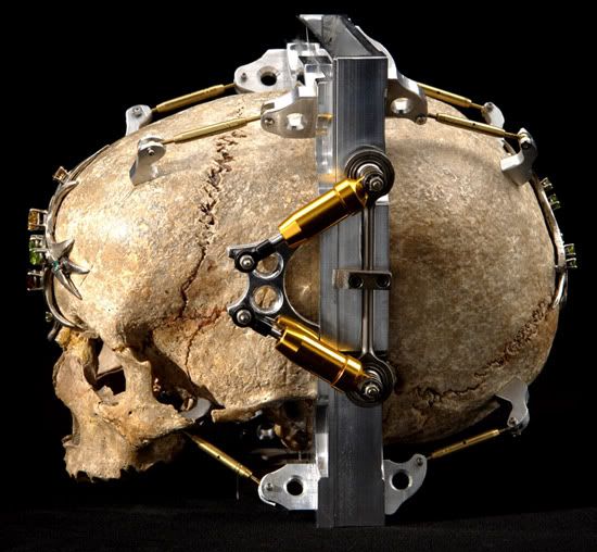 Wayne Martin Belger's .