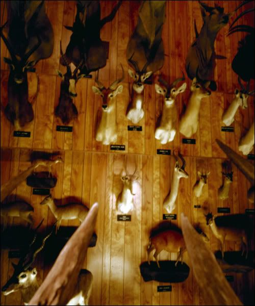 Wayne Martin Belger's .