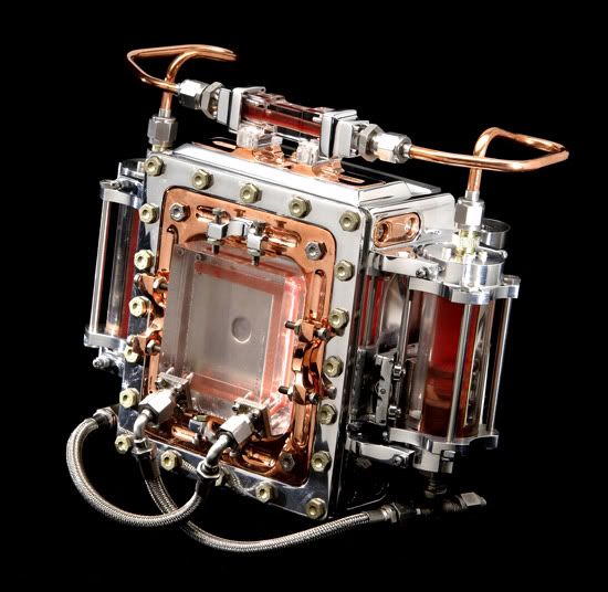 Wayne Martin Belger's .