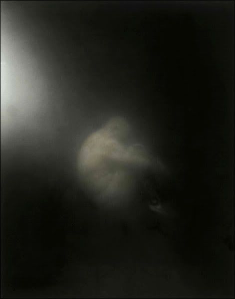 Wayne Martin Belger's .