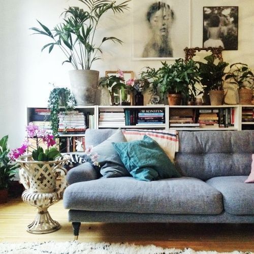 owning plants in the home